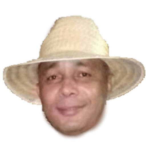 Resenha