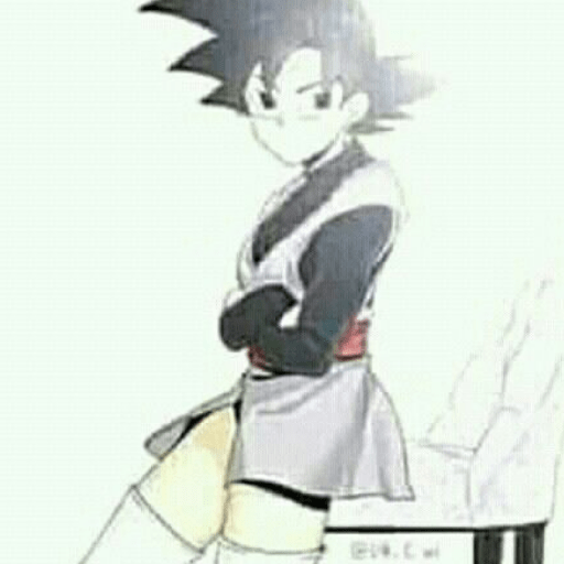 Goku black Fem 14