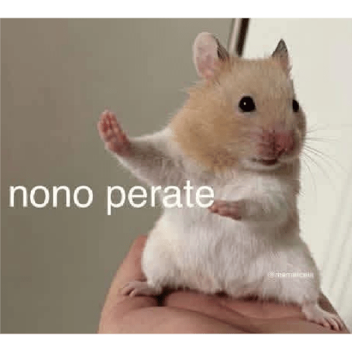 Memes Chistoso Random 4 5