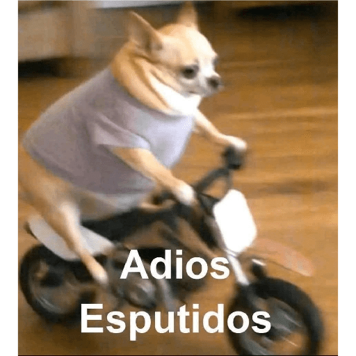Memes Chistoso Random 4 1