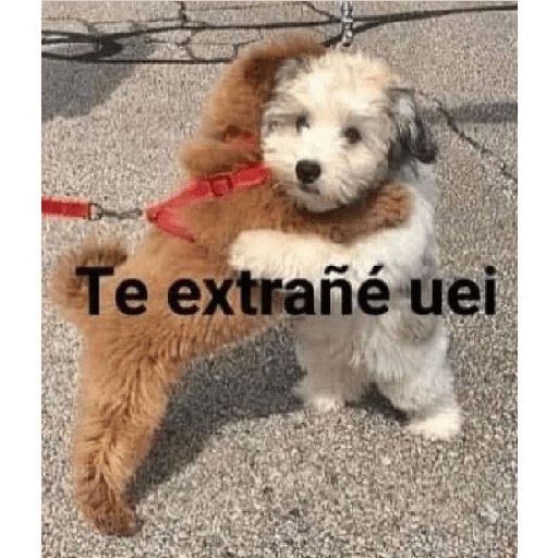 Memes Chistoso Random 4 3