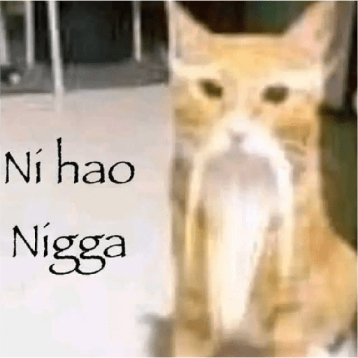 Memes Chistoso Random 4 15
