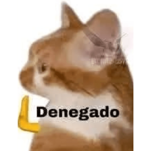 Memes Chistoso Random 4 16