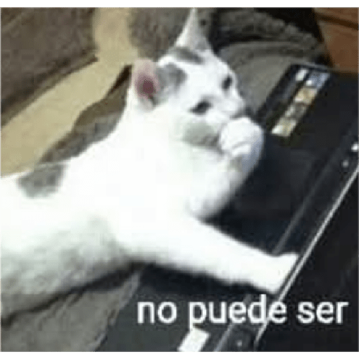 Memes Chistoso Random 4 17
