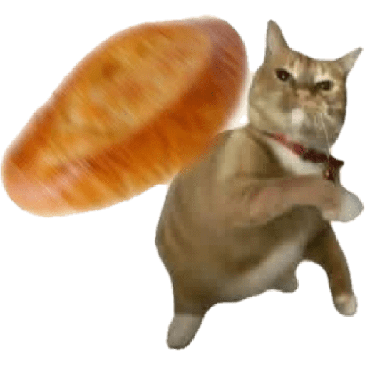 Memes Chistoso Random 4 18