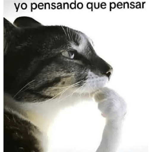 Memes Chistoso Random 4 20