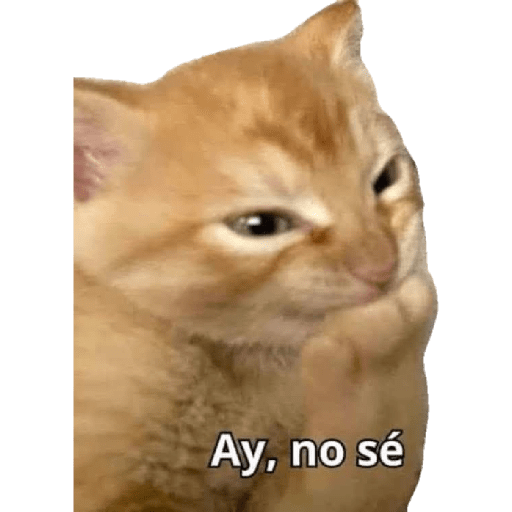 Memes Chistoso Random 4 21