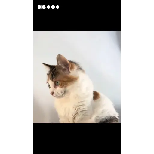 It's serious ? 2