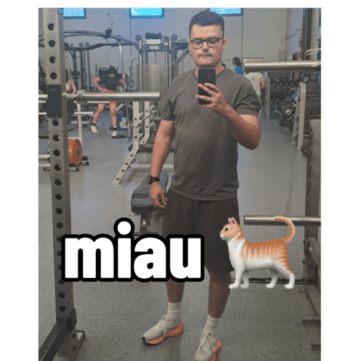 Macaco 26