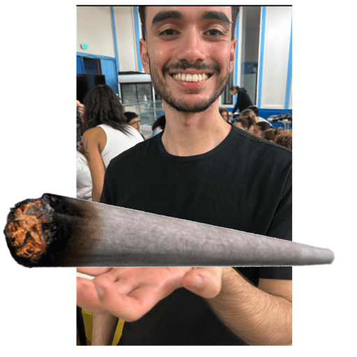 Macaco 24