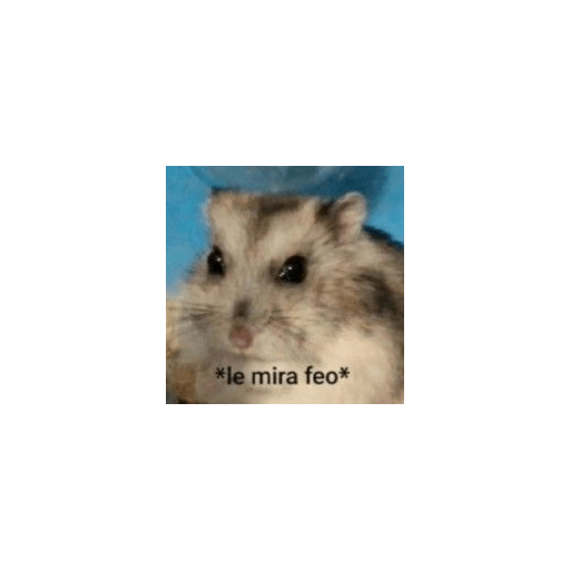Si funny¿ 17