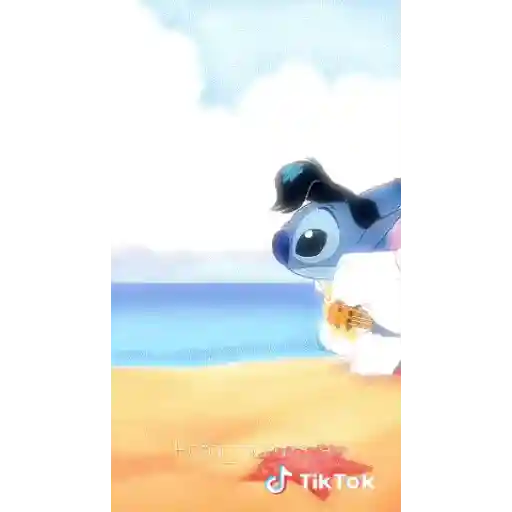 Stich 3