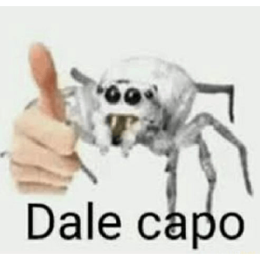 Animais 13