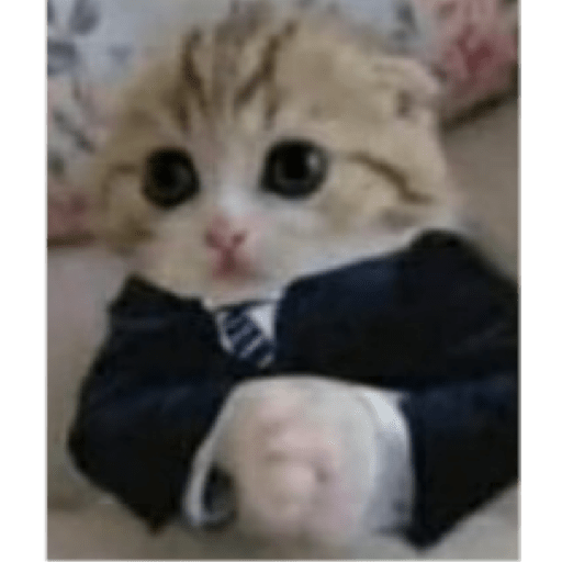 Animais 3