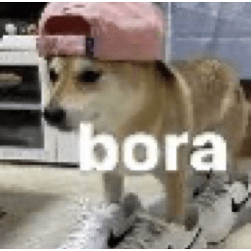 Animais 12