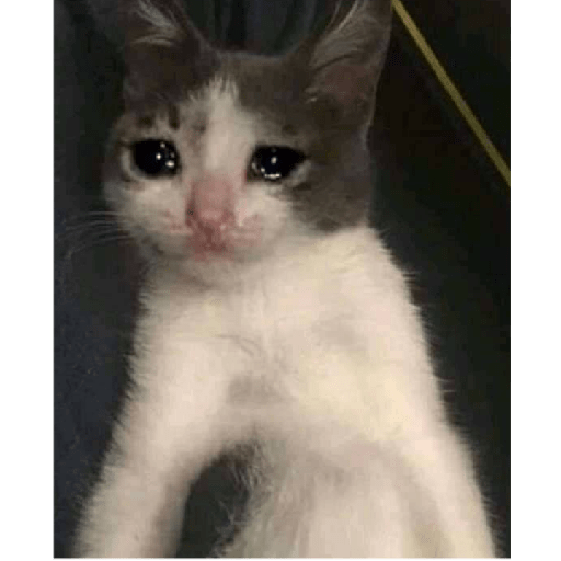 Animais 26