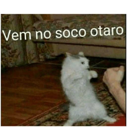 Animais 18