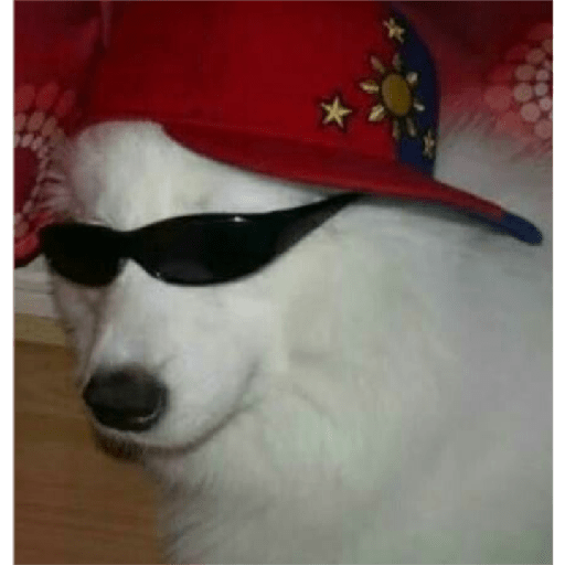 Animais 7