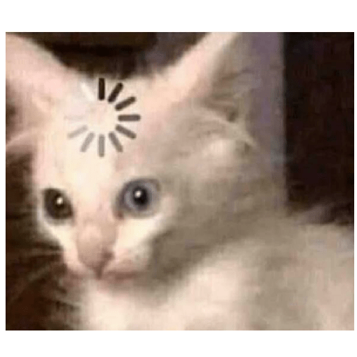 Animais 19