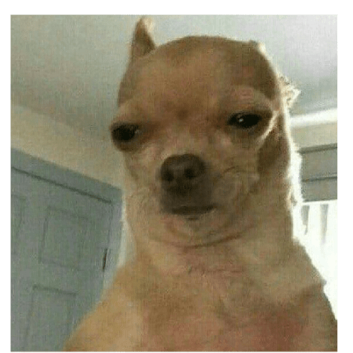 Animais 25