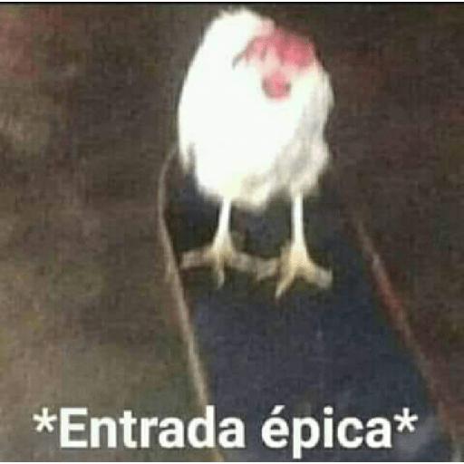 Animais 4