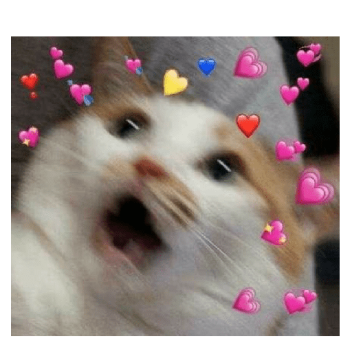 Animais 22