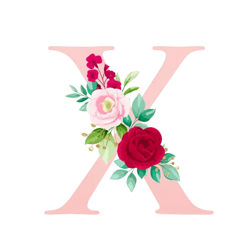 English Alphabet 24
