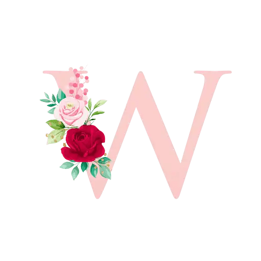 English Alphabet 23