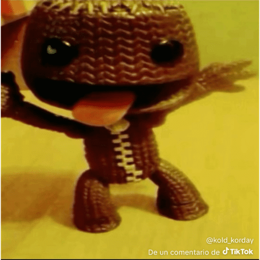 Mapache 5