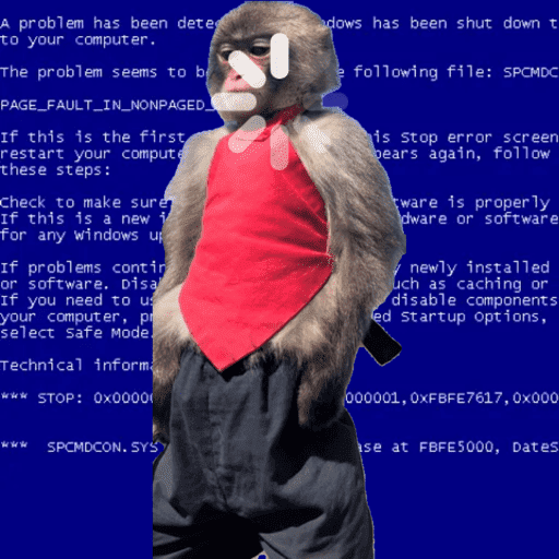 Mapache 2