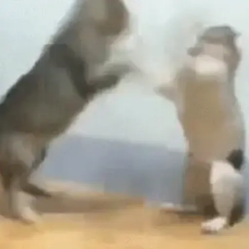 Funny Memes 7