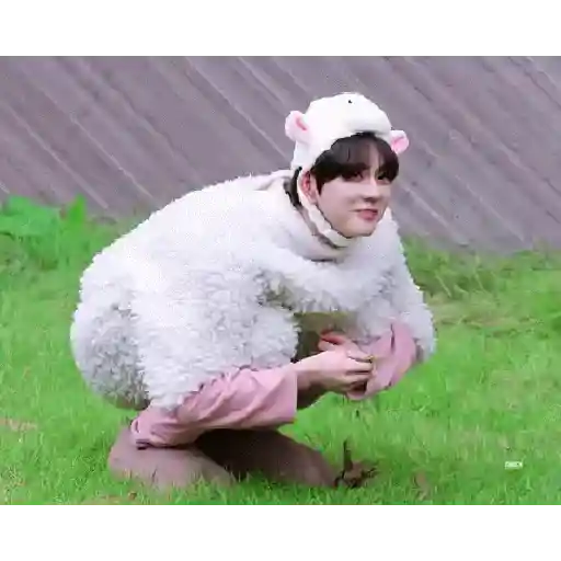 Gato jungwon 21