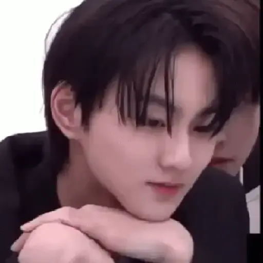 Gato jungwon 11