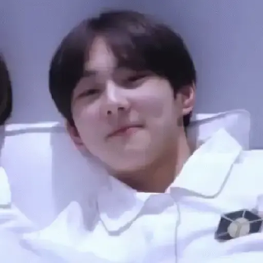 Gato jungwon 8