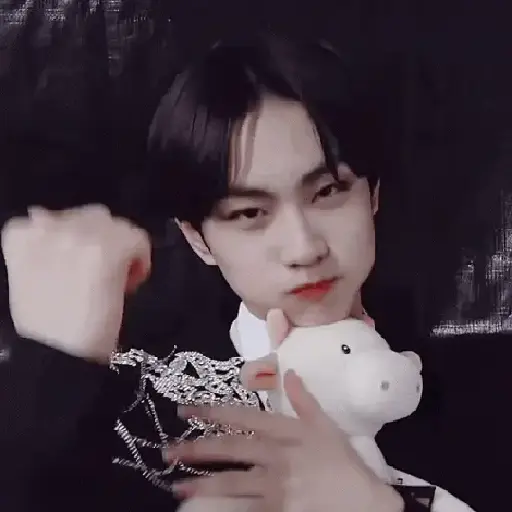 Gato jungwon 16