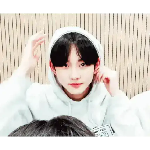 Gato jungwon 24