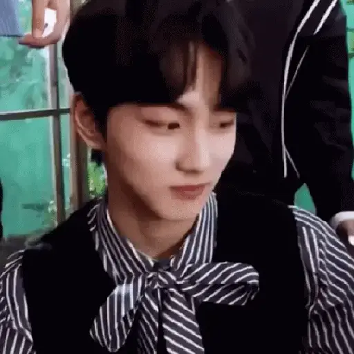 Gato jungwon 2