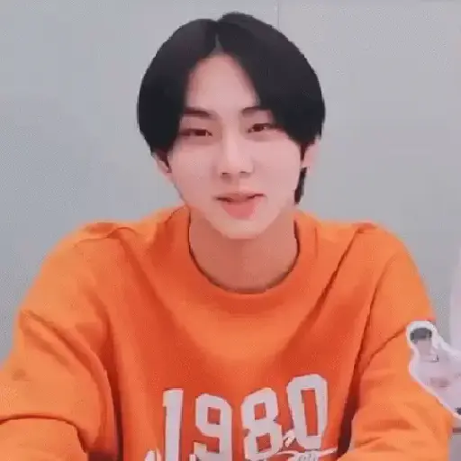 Gato jungwon 4