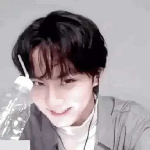 Gato jungwon 1
