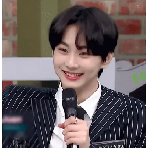 Gato jungwon 9