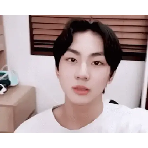 Gato jungwon 7