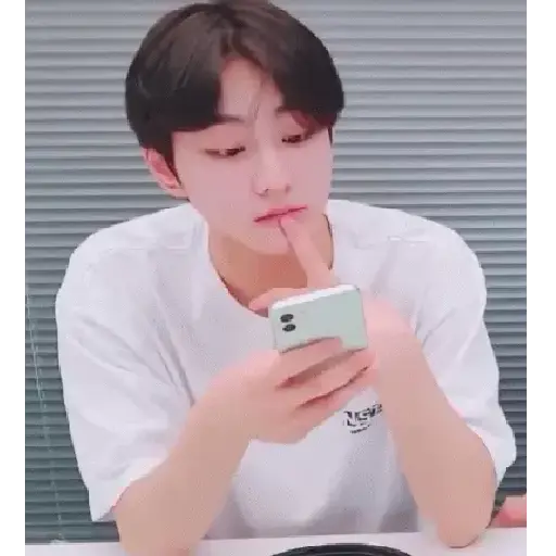Gato jungwon 14