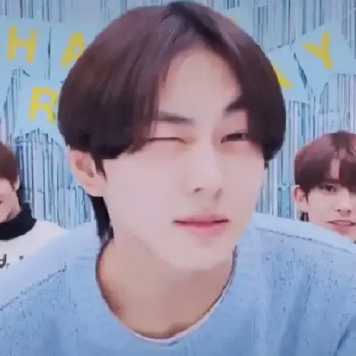Gato jungwon 5
