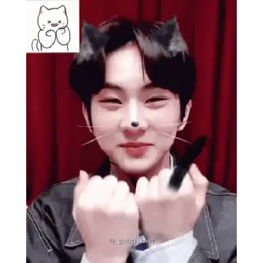 Gato jungwon 19