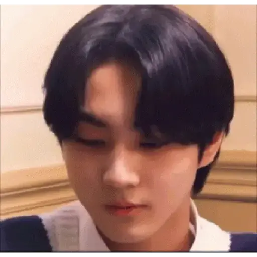 Gato jungwon 3