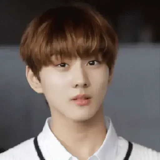 Gato jungwon 13