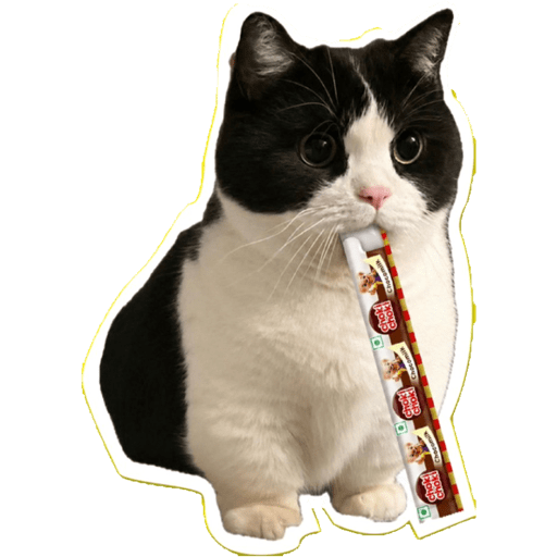 Chatpate Choki Stickers 11