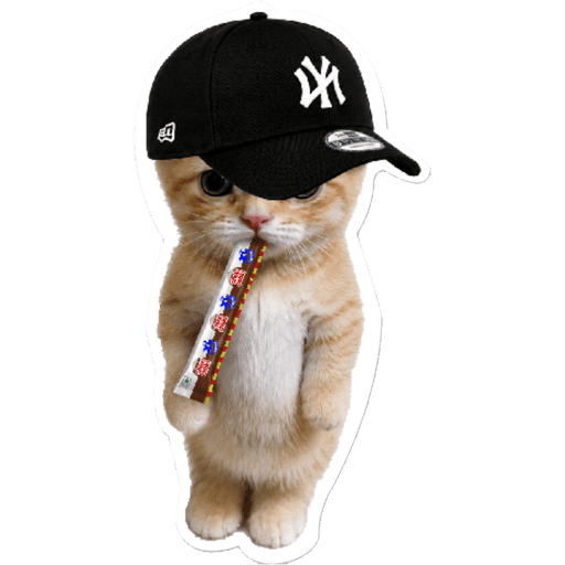Chatpate Choki Stickers 6