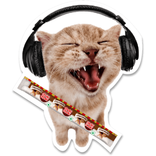 Chatpate Choki Stickers 9