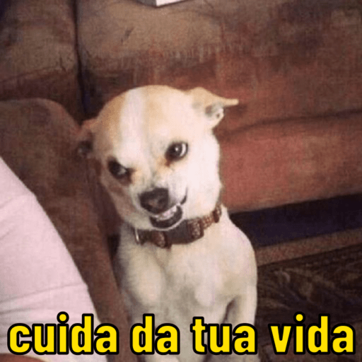 Dogs afiados 💅